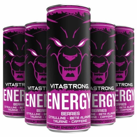 VITASTRONG ENERGY X12 BERRIES