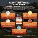 GLUCOSAMINE