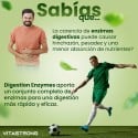 DIGESTION ENZYMES