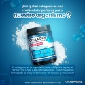 COLLAGEN HIDROLIZADOS