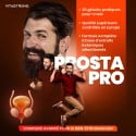 PROSTA PRO