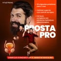 PROSTA PRO