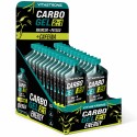 CARBO GEL 2:1 + CAFEÍNA