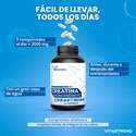 CREATINA CREASTRONG®
