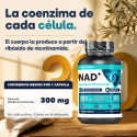 NAD+