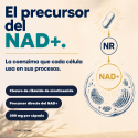 NAD+
