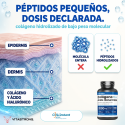 COLÁGENO