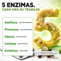DIGESTION ENZYMES