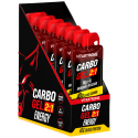 CARBO GEL 2:1